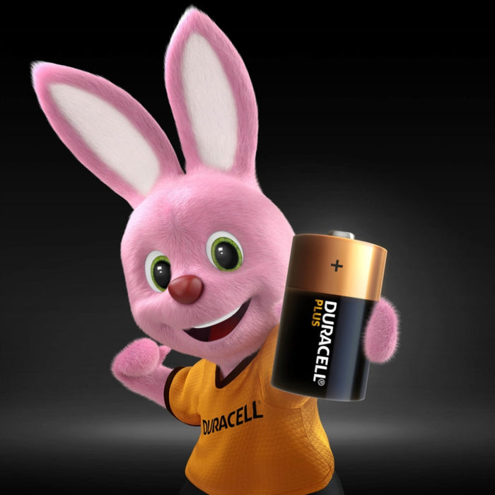 Duracell Plus Power Alkaline Pack of 2 D Batteries