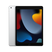 Apple iPad 9th Gen, 10.2 Inch Screen, 256GB, Wi-Fi, Silver-Laptops-Gigante Computers