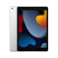 Apple iPad 9th Gen, 10.2 Inch Screen, 256GB, Wi-Fi, Silver-Laptops-Gigante Computers