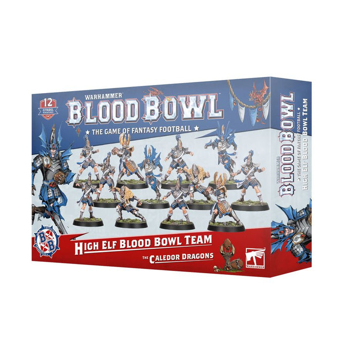High Elf Blood Bowl Team: The Caledor Dragons-Boxed Games & Models-Gigante Computers