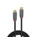 Lindy 1.5m USB 3.2 Type C to C Cable, 20Gbps, 5A, PD, Anthra Line Black/Red-Cables-Gigante Computers