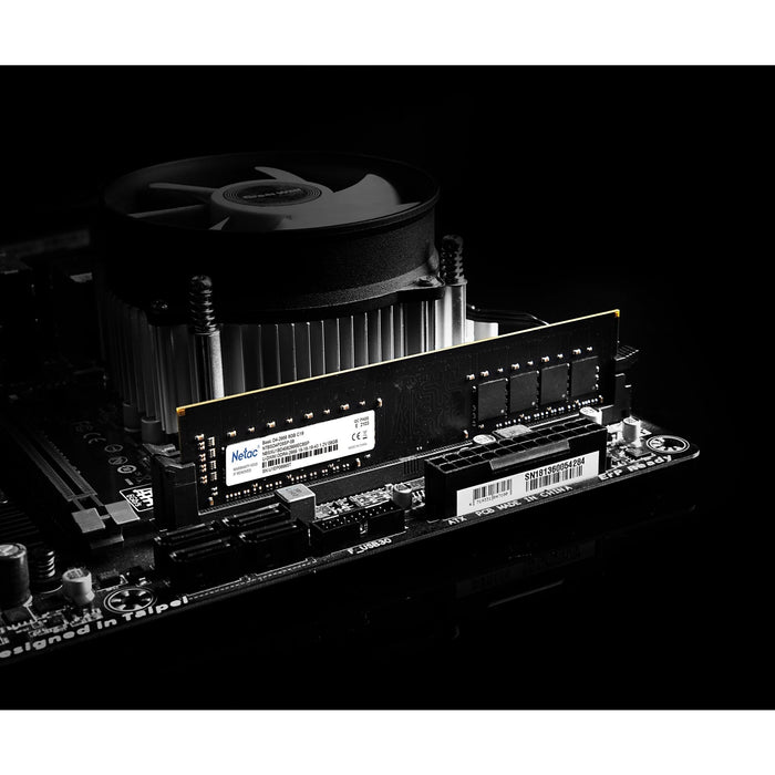 Netac 8GB No Heatsink (1 x 8GB) DDR4 2666MHz DIMM System Memory-System Memory-Gigante Computers