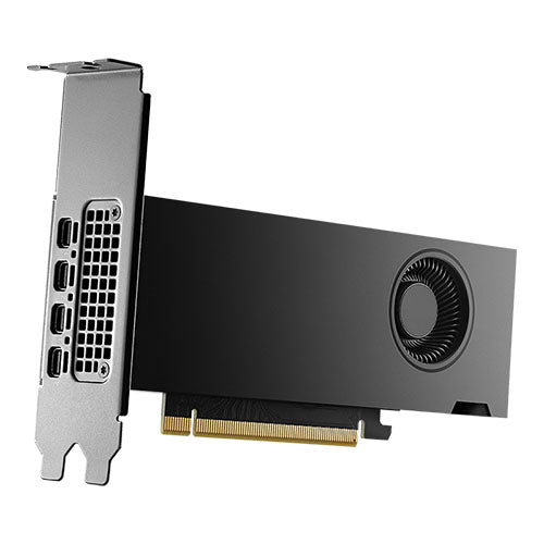 PNY RTX2000 Ada Professional Graphics Card, 16GB DDR6, 4 Mini DP (DP Adapter), 2816, CUDA Cores, Dual-Slot, Low Profile, Retail-Graphics Cards-Gigante Computers