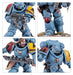 Space Wolves: Grey Hunters-Boxed Games & Models-Gigante Computers
