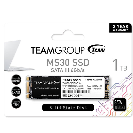 Team MS30 1TB m.2 Sata Solid State Drive-Hard Drives Optical-Gigante Computers