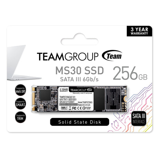 Team MS30 256gb M.2 SATA SSD-Internal Hard Drives-Gigante Computers
