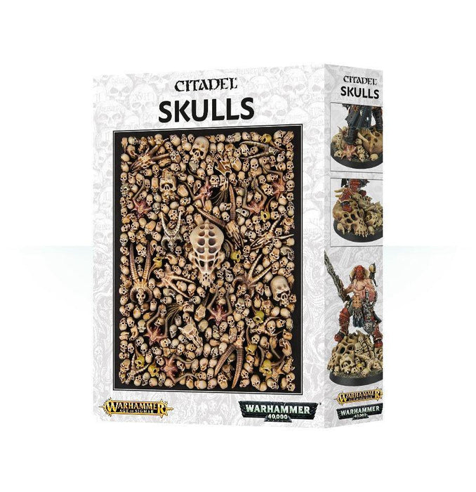 Citadel Skulls-Boxed Games & Models-Gigante Computers